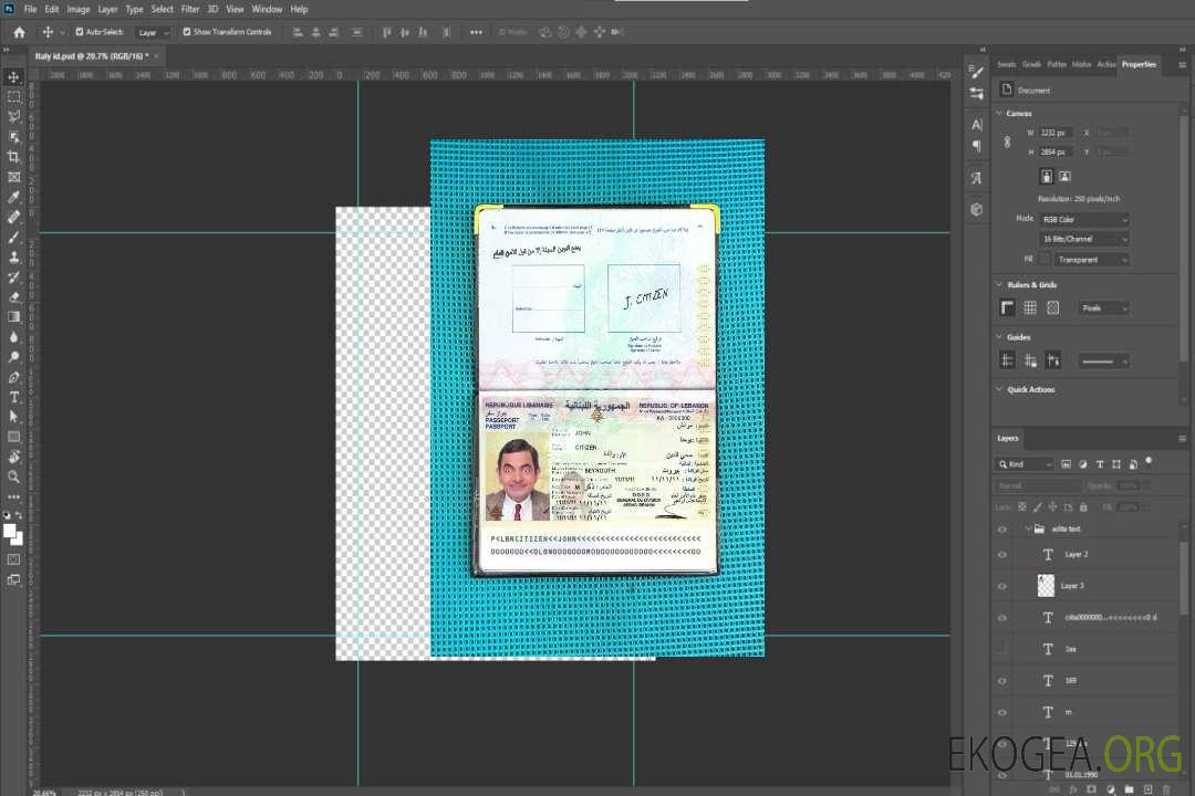 Look de photo de passeport du Liban template